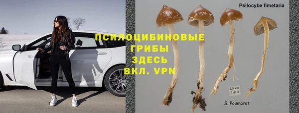 гашишное масло Богданович