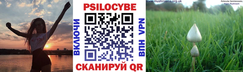 где продают наркотики  Касли  Псилоцибиновые грибы Cubensis 